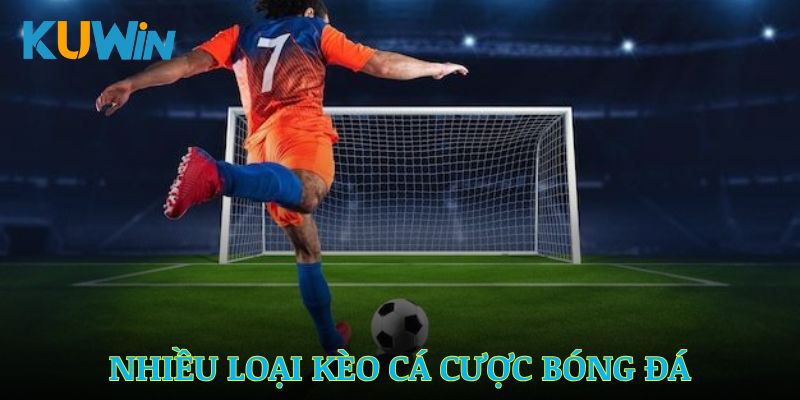 Trang cung cấp nhiều loại kèo cá cược bóng đá đa dạng