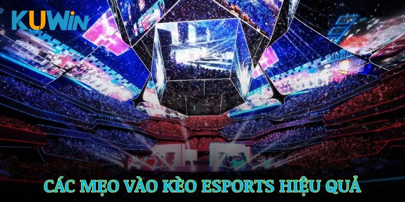 Các mẹo vào kèo Esports hiệu quả được khuyên dùng