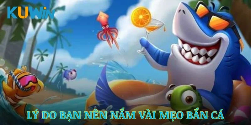 Lý do bạn nên biết vài mẹo bắn cá lớn tại Kuwin