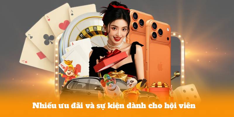 Nhiều ưu đãi và sự kiện dành cho hội viên